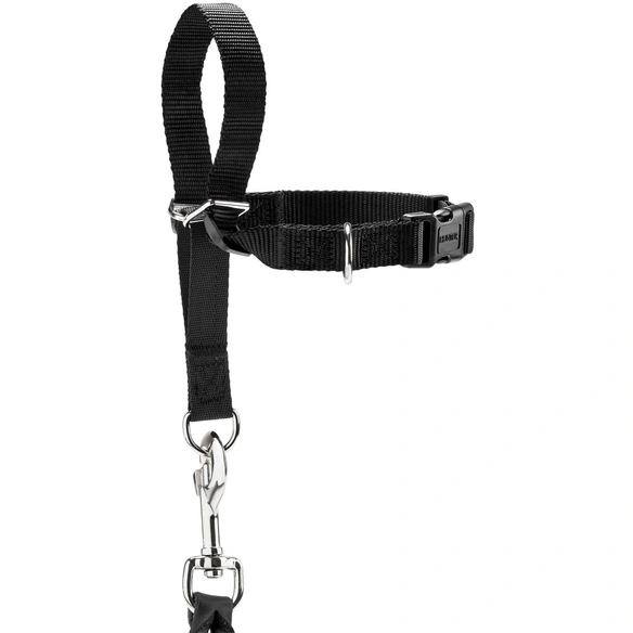 Hunde-Geschirr »Follow Me«, Ausbildungsgeschirr Follow Me XL