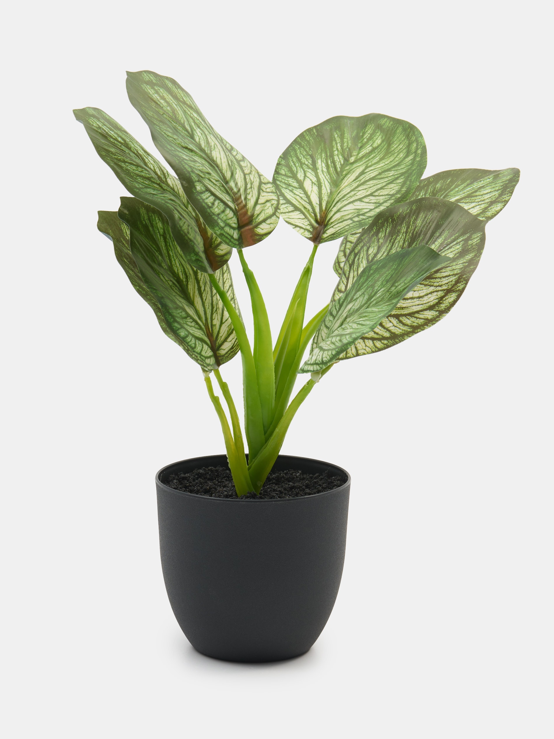 Sztuczna roślina ozdobna Alocasia w doniczce