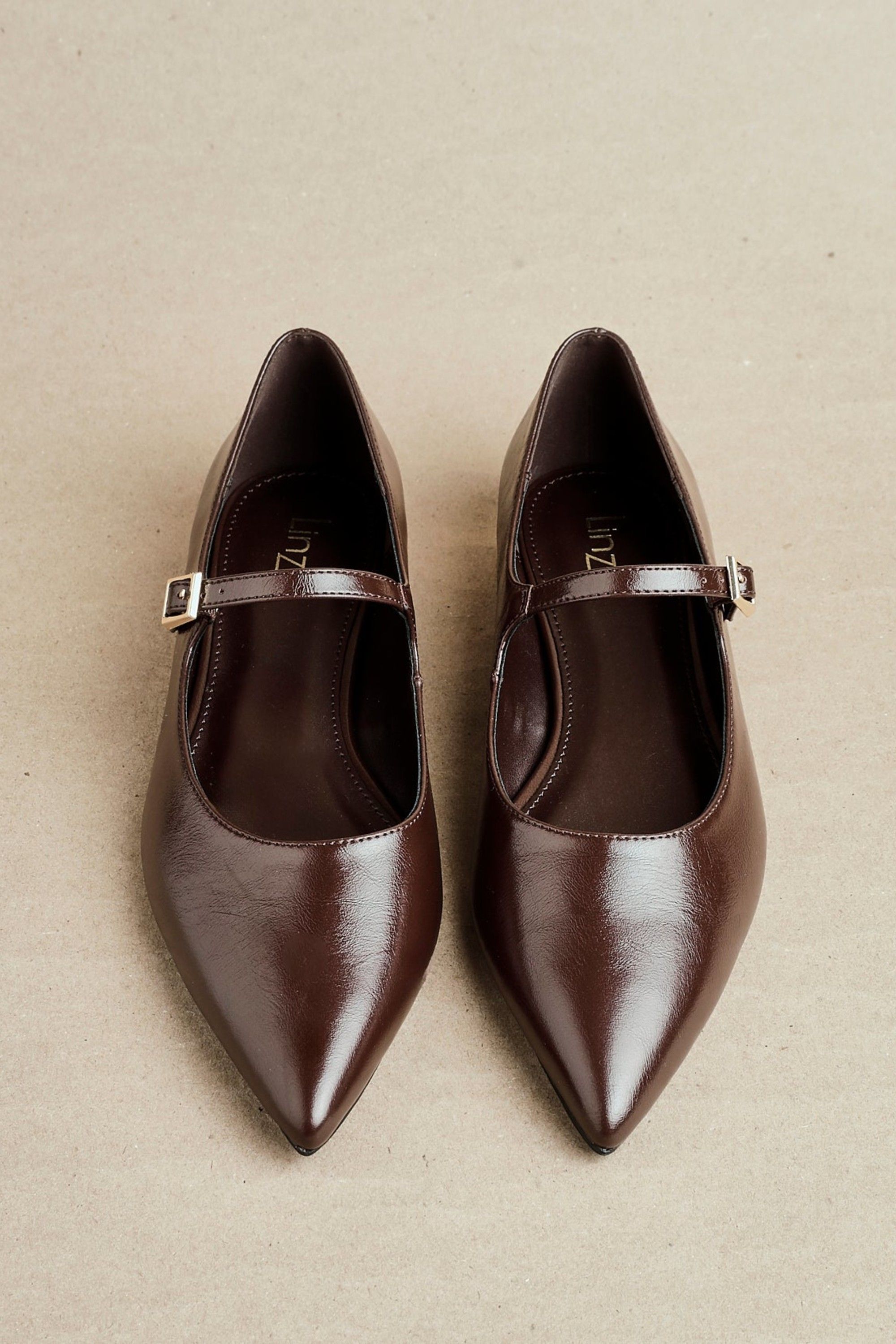Linzi Seattle Brown Faux Leather Pointed Toe Mary Jane Flats