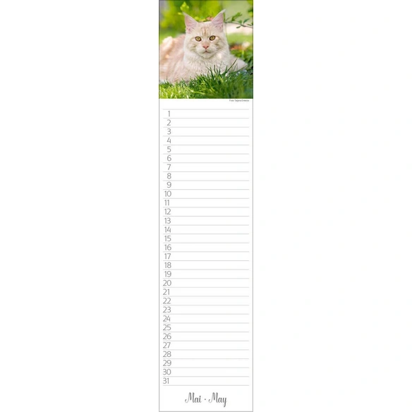 Wandkalender, BxH: 48 x 11 cm, Blattanzahl: 13