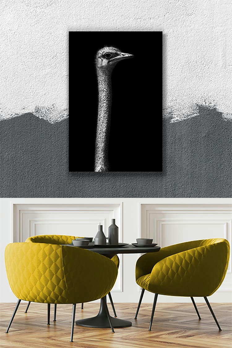 AUTRUCHE HORS SOL - Photographie d'art de Guillaume Mordacq  30x45 cm sur plexi