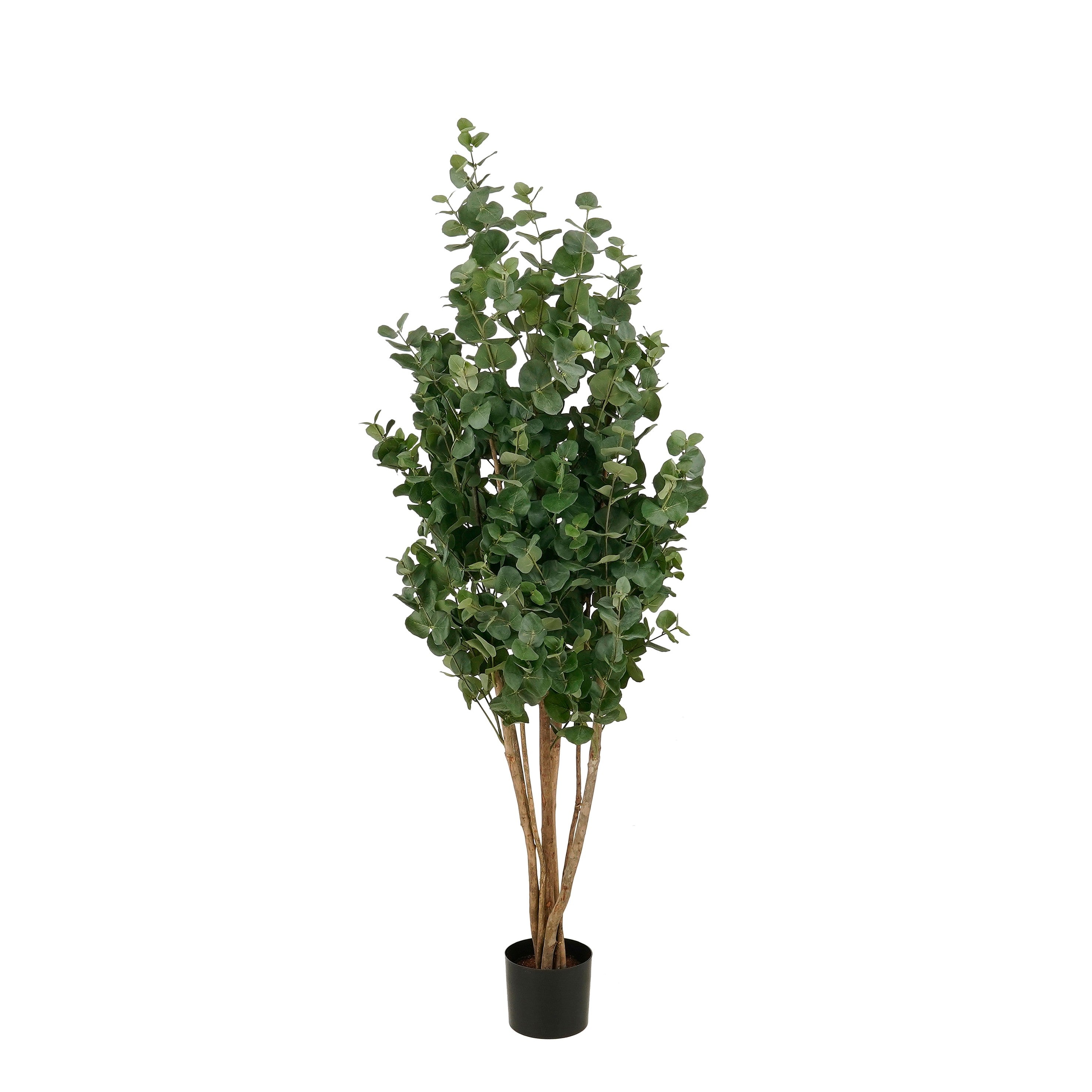 Mica Decorations Eucalyptusboom – Kunstplant in Pot – Realistische Nepplant Woondecoratie – Kunstplanten voor Binnen en Buiten – H175 x Ø90 cm – Groen