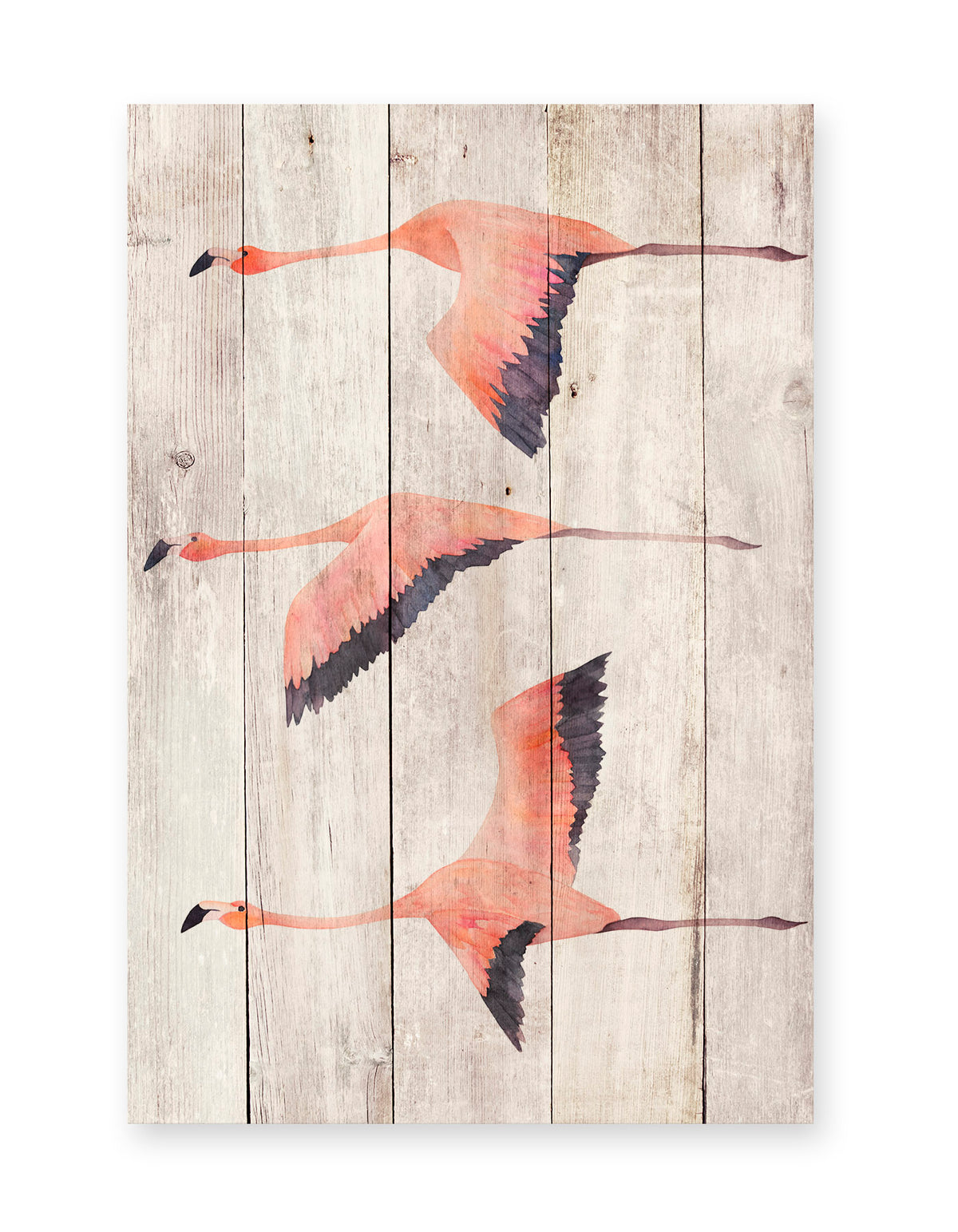 Really Nice Things - Paneel - 60x40 cm - Flying Flamingo