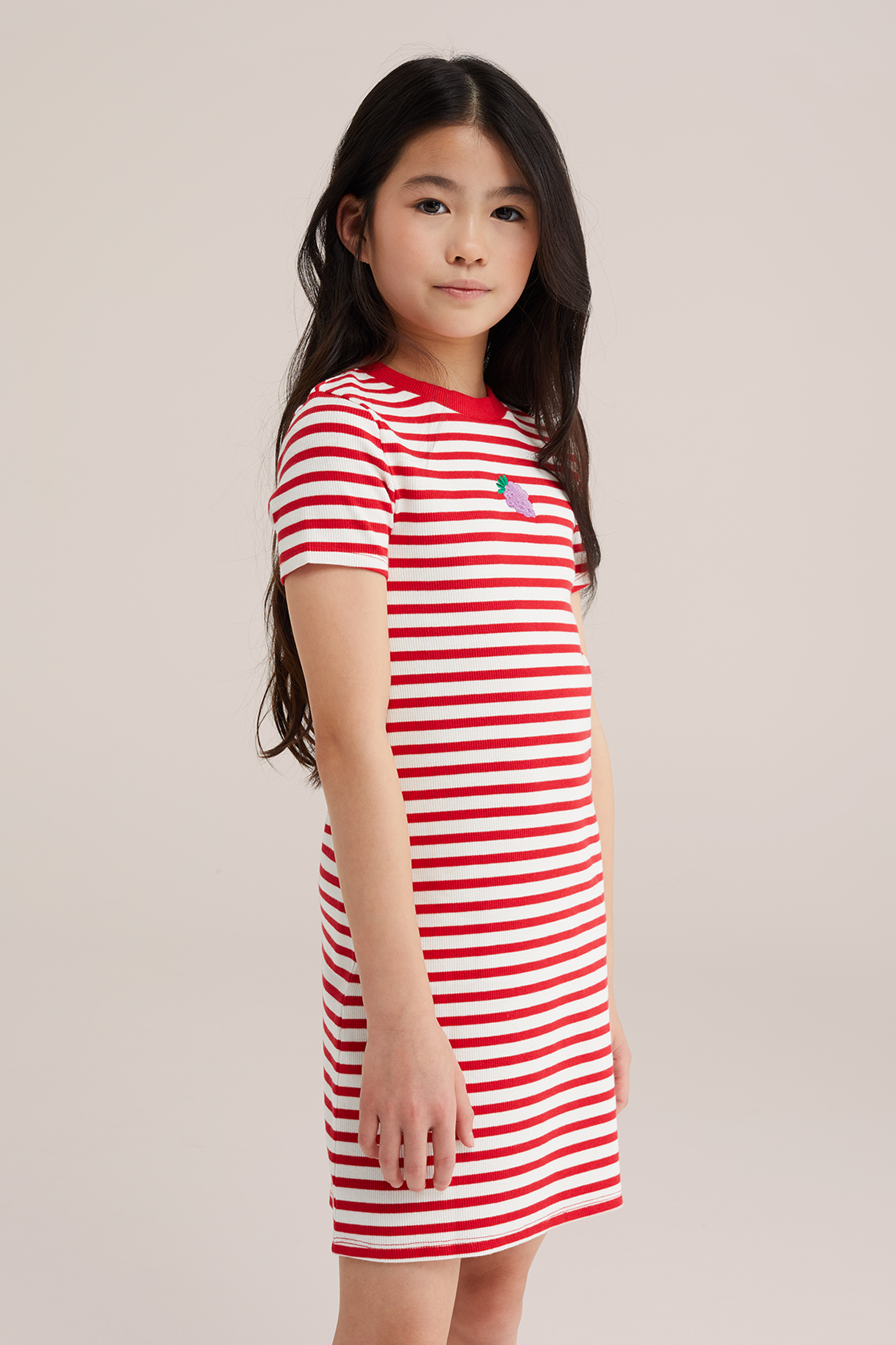 Meisjes jurk met embroidery