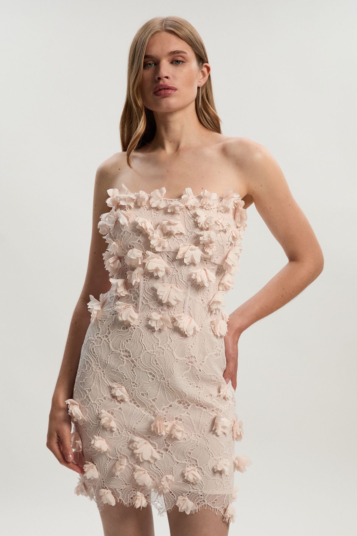 KarenMillen Applique Lace Corset Woven Mini Dress