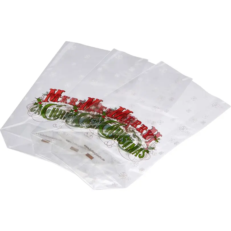 Geschenktüte 10er-Set Merry Christmas