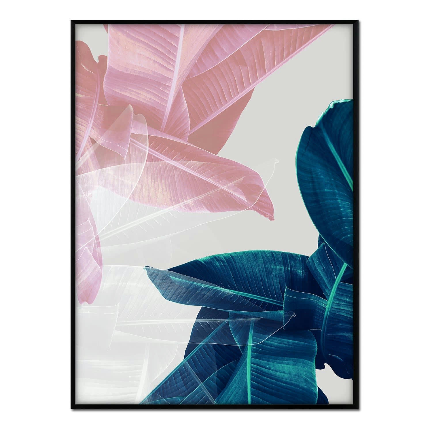 PLANTAS - Affiche avec cadre noir - Feuilles vertes et roses - 50x70
