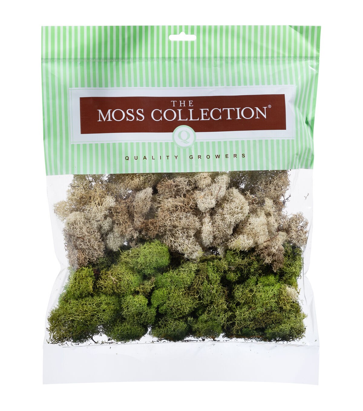 Quality Growers Natural & Spring Green Reindeer Moss