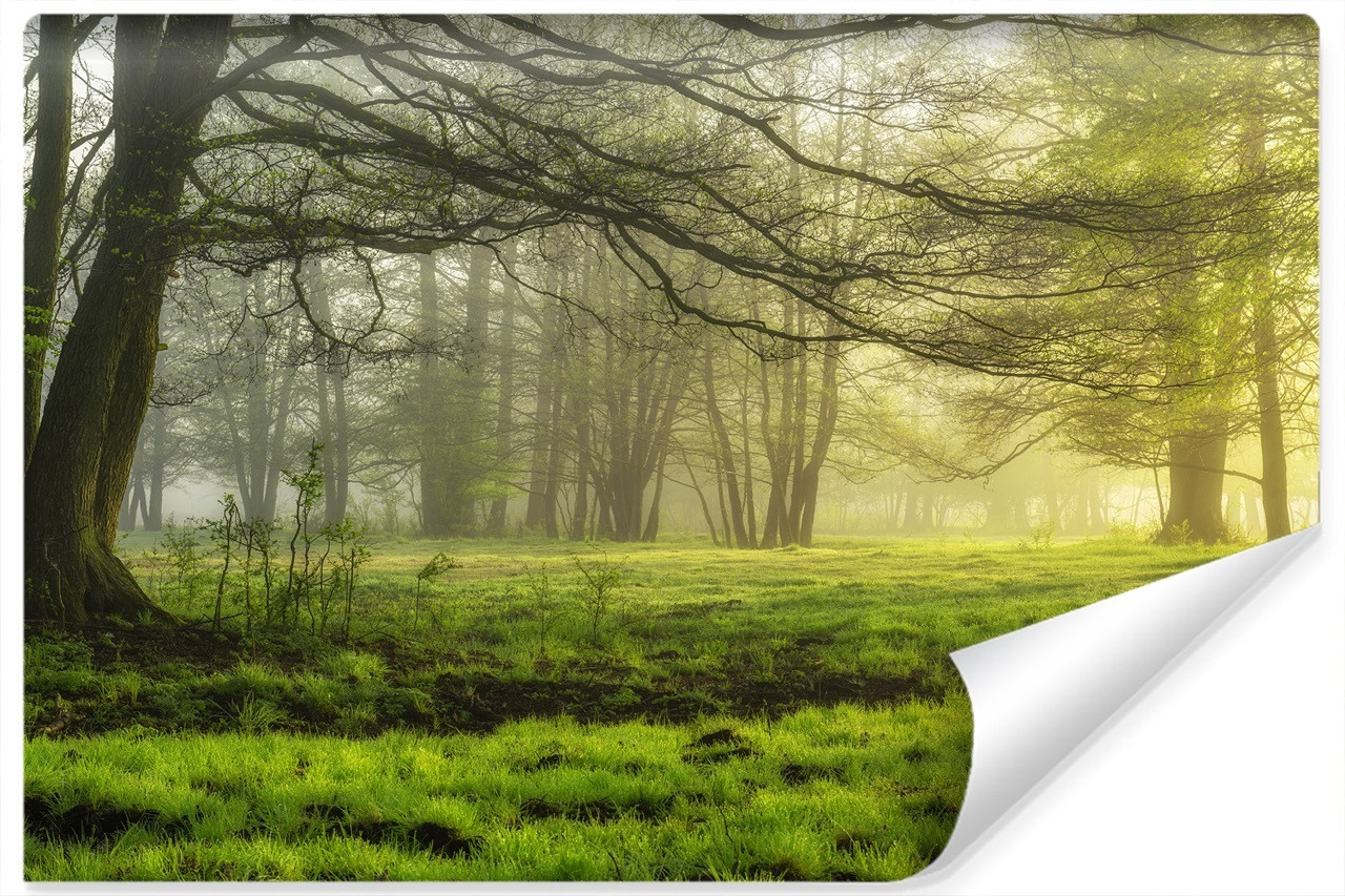Fototapeta Do Sypialni Zielona ŁĄKA Natura 90x60cm