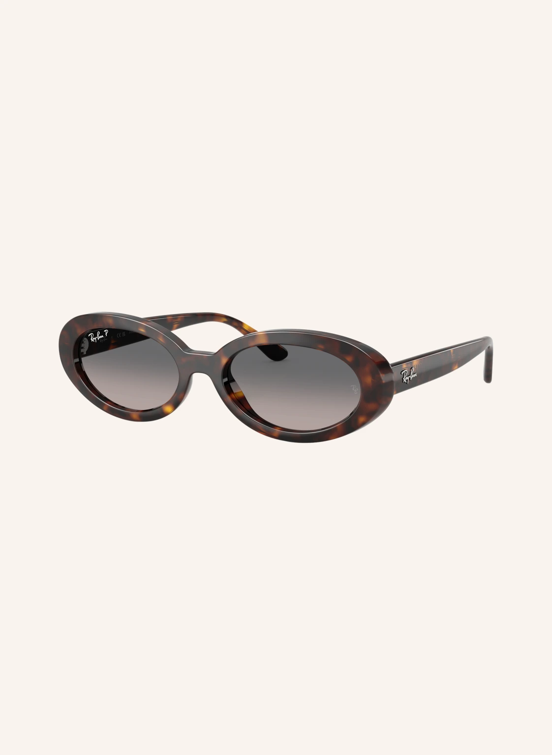 Ray-Ban Sonnenbrille RB2223F
