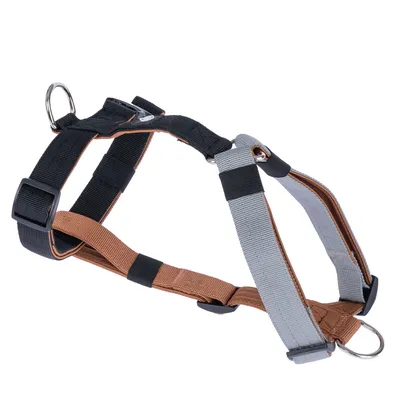 Nomad Tales Spirit Multi-Ring Harness