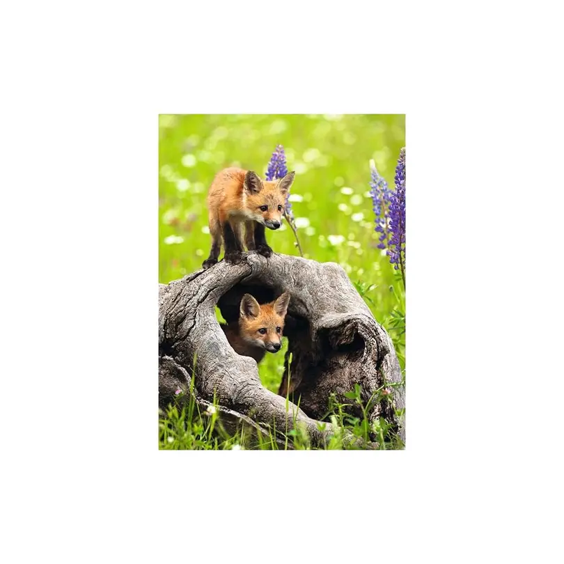 Puzzle Freche Füchse