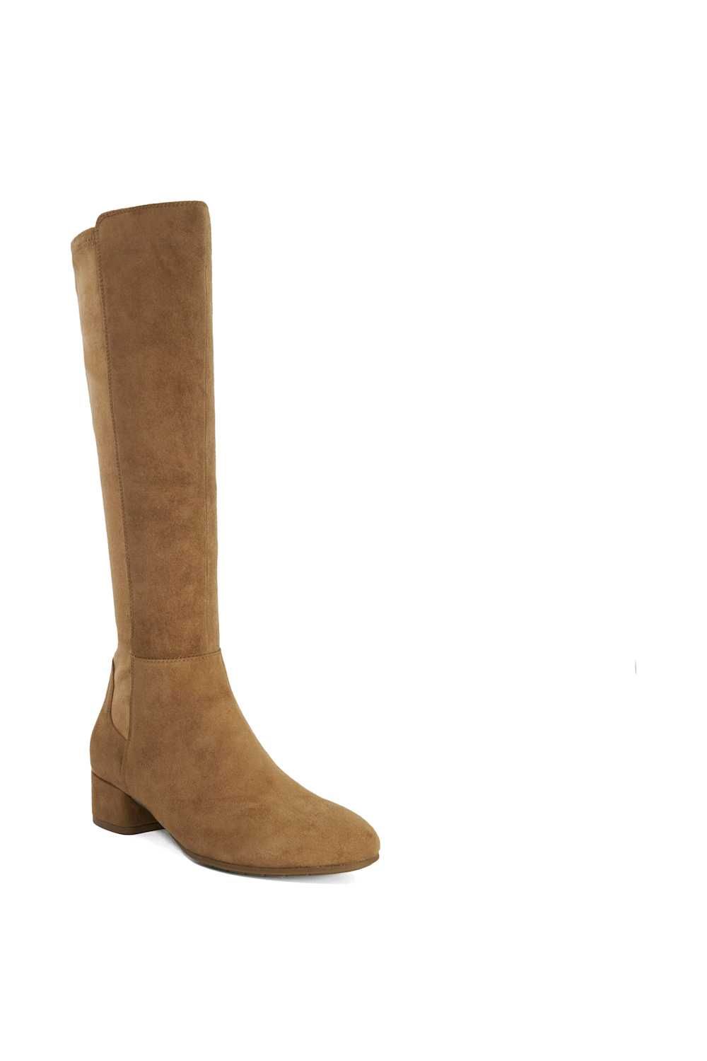 Dune London Tayla' Suede Knee High Boots