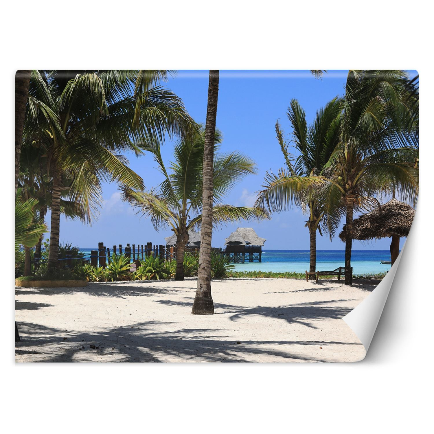 Feeby Fototapeta, Palmy rajska plaża 150x105