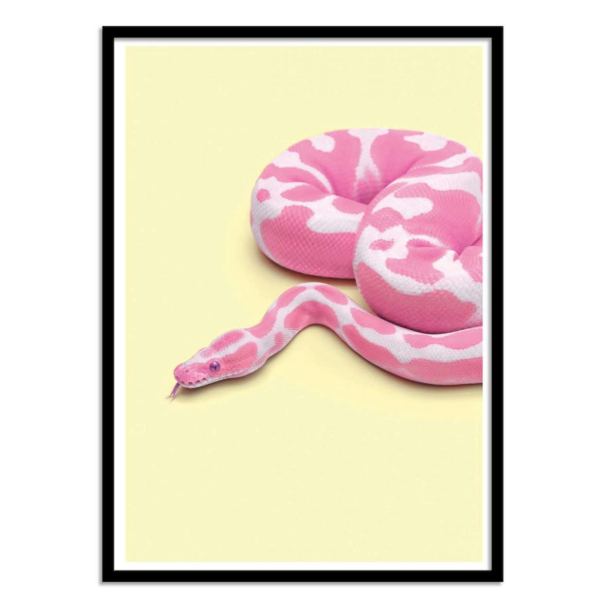 PAUL FUENTES - YELLOW SNAKE - Affiche d'art avec Cadre bois noir - 50 x 70 cm