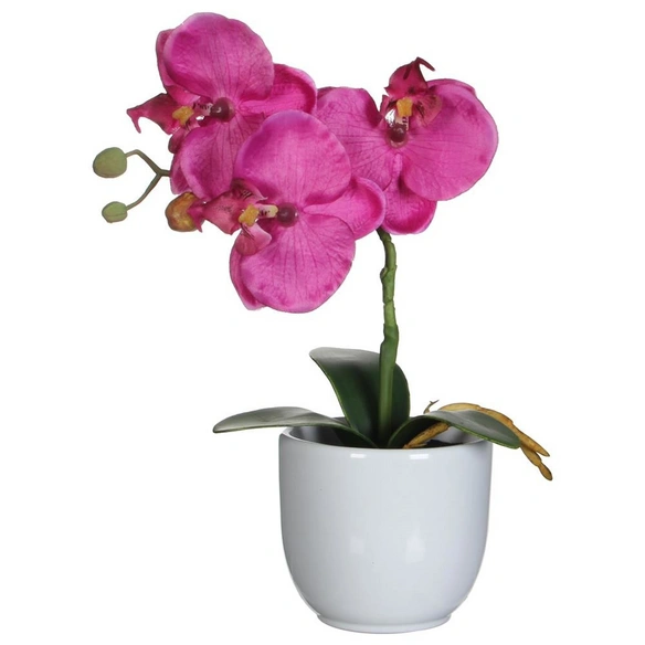 Kunstpflanze, Phalaenopsis Orchidee, violett
