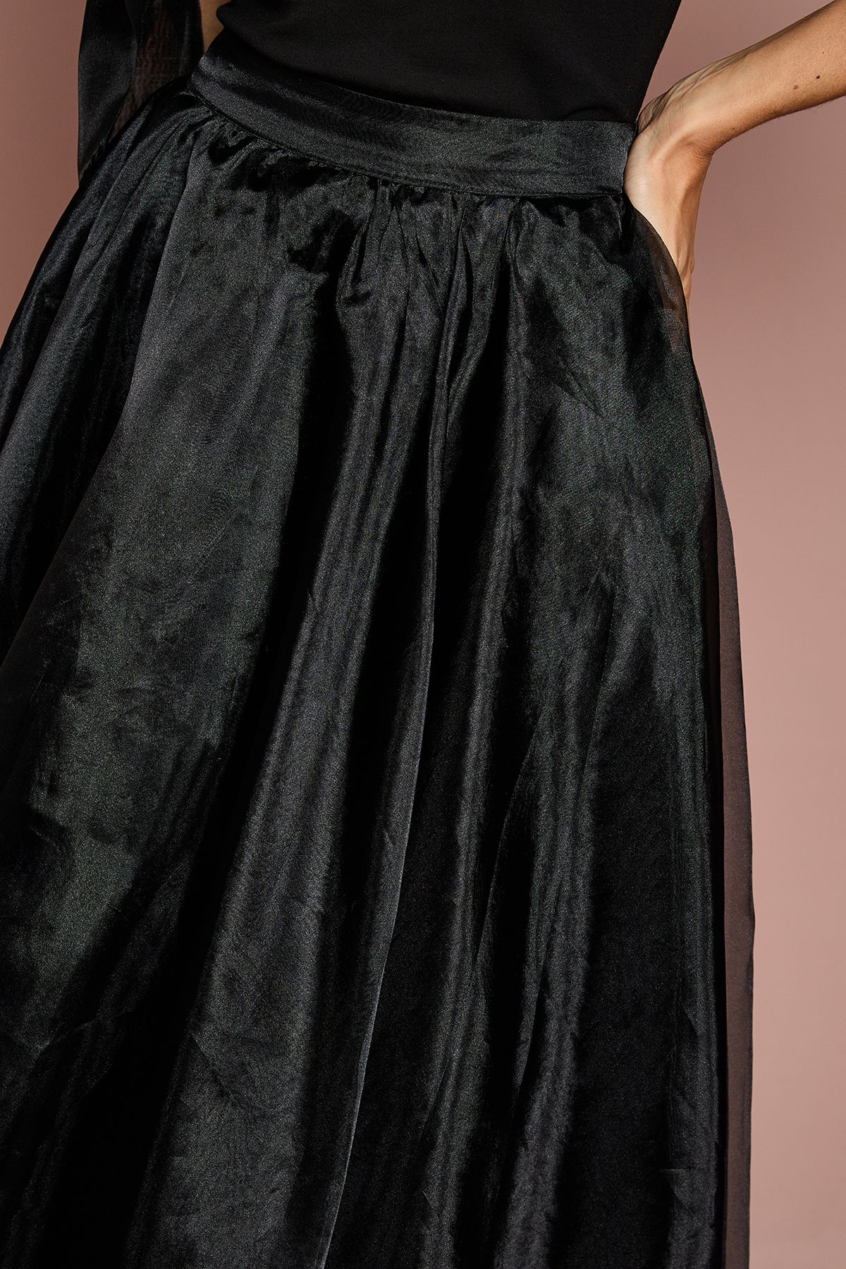 Coast Organza Skirt
