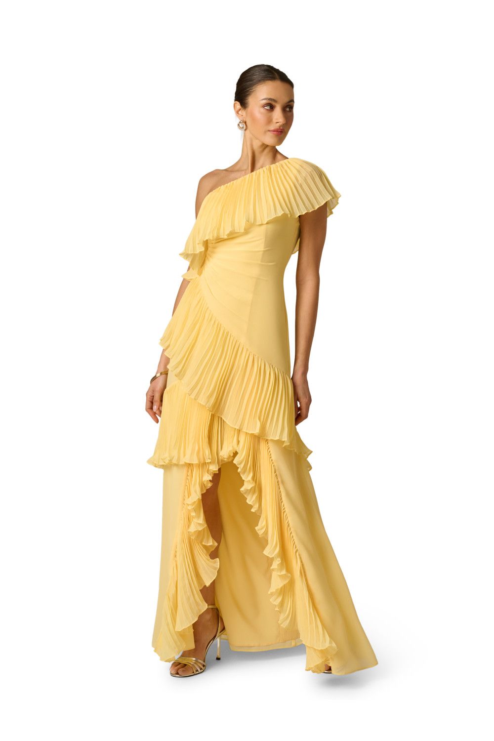 Adrianna Papell Poly Chiffon Long Dress