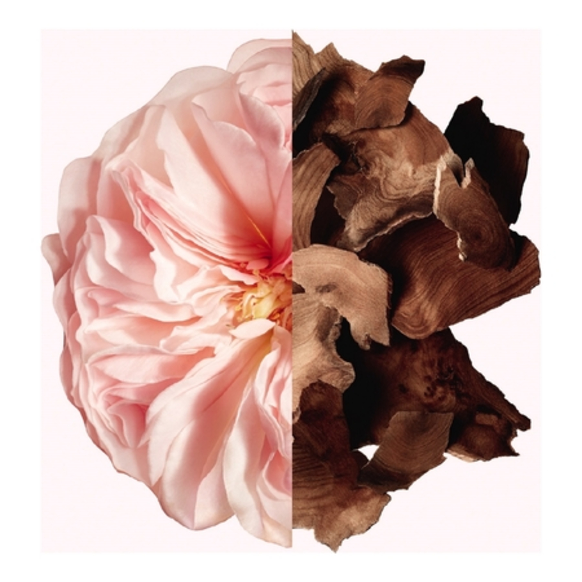 IRRESISTIBLE GIVENCHYBrume pour les cheveux