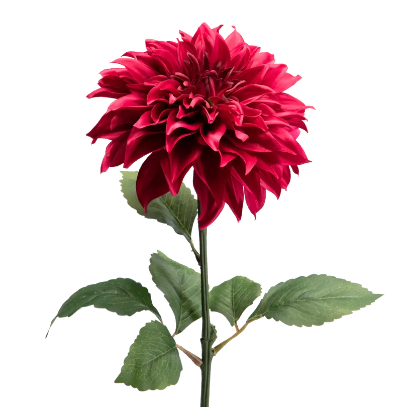 Dekozweig FLORA