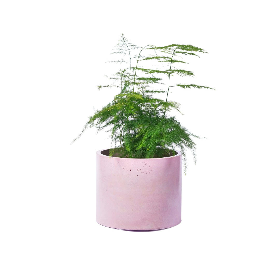 CACHE-POT XXL UNI - Cache-pot xxl en béton rose pastel