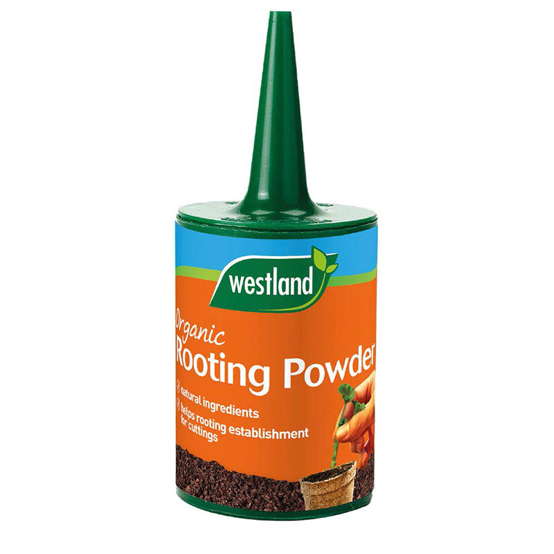 Rotningspulver 100 g