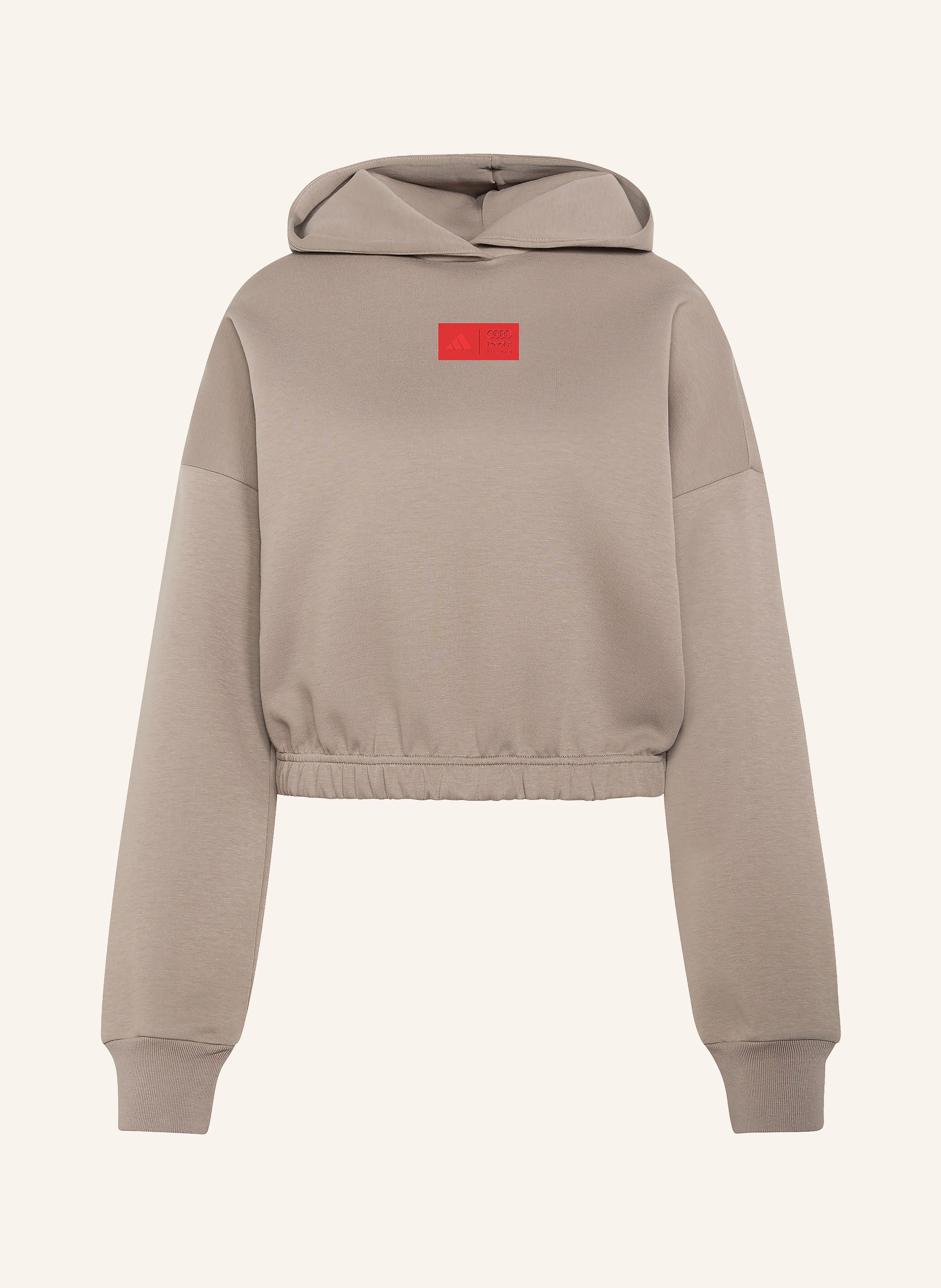 adidas Hoodie AUDI FORMULA ONE TEAM ELEVATED