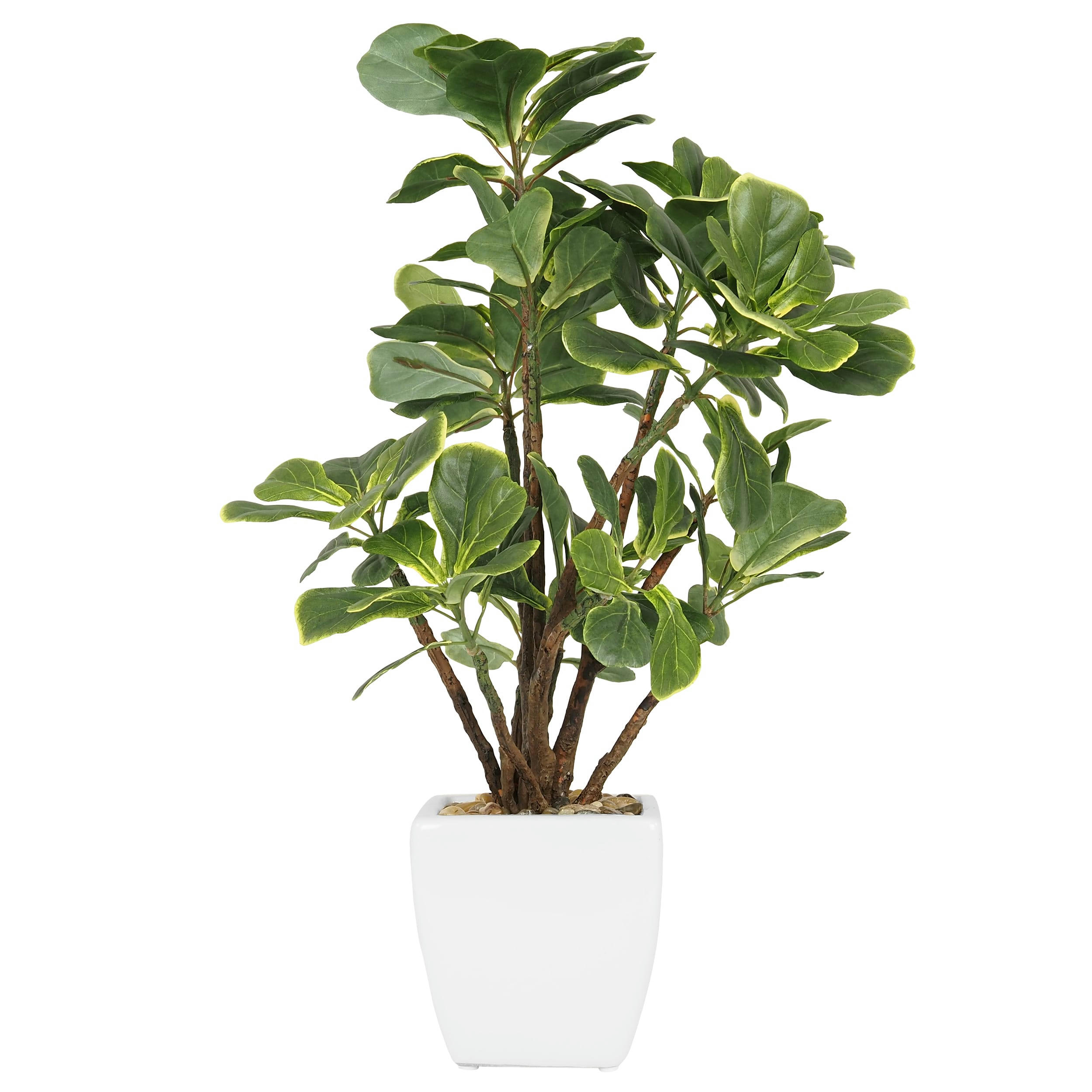 - Ficus artificiel lyrata 55cm