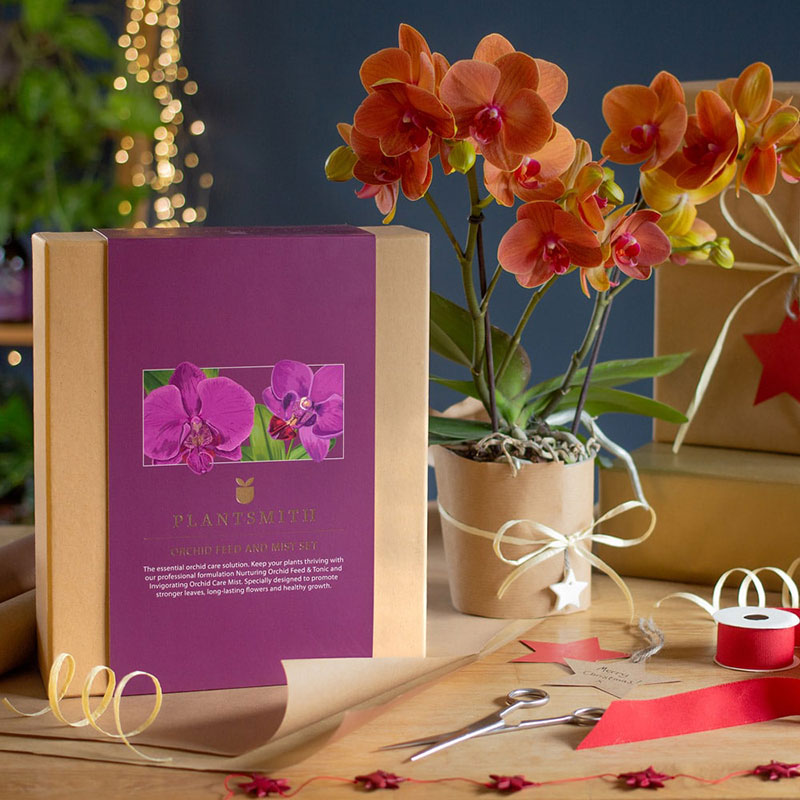 Orkidénäring presentbox