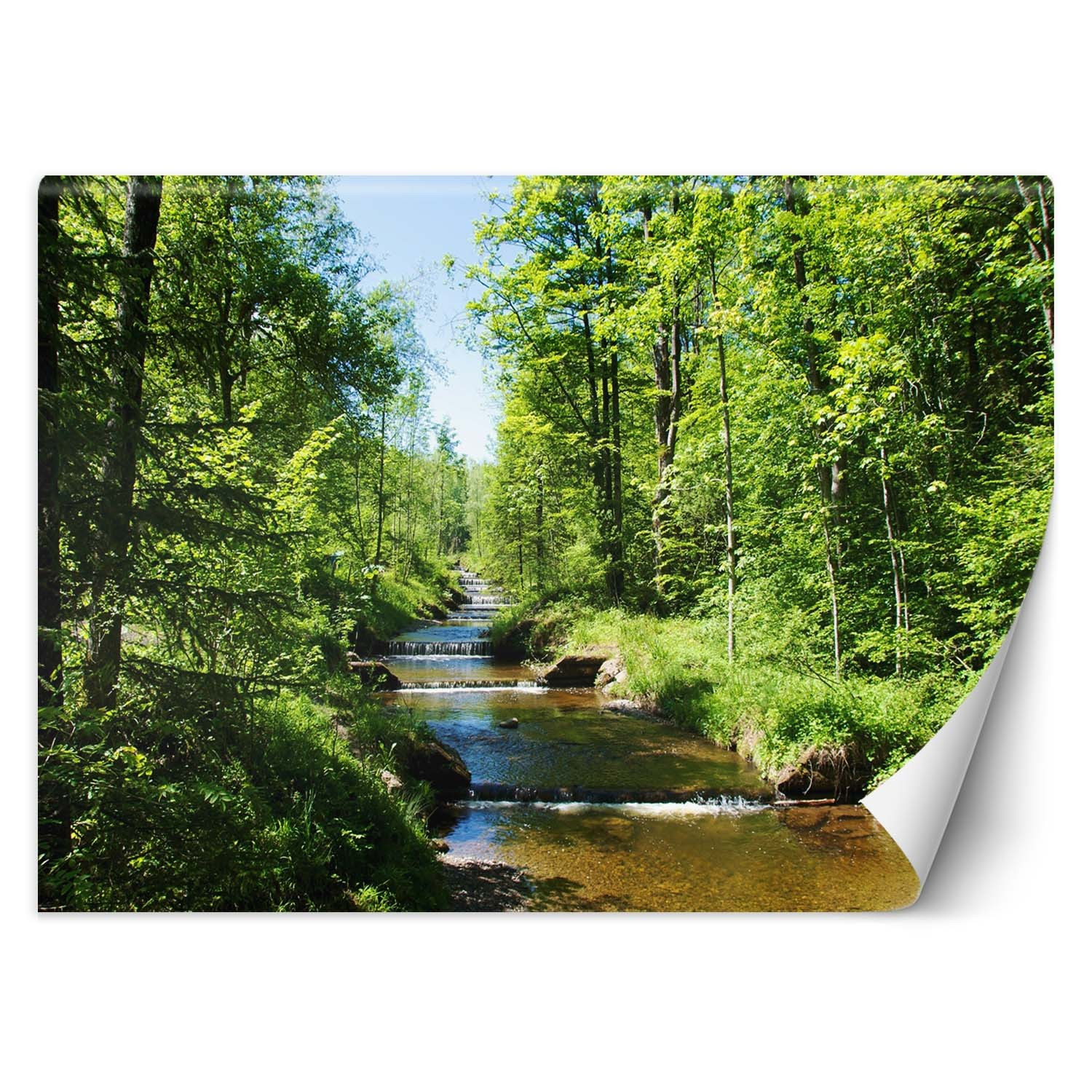 Feeby Fototapeta, Górski potok las natura 150x105