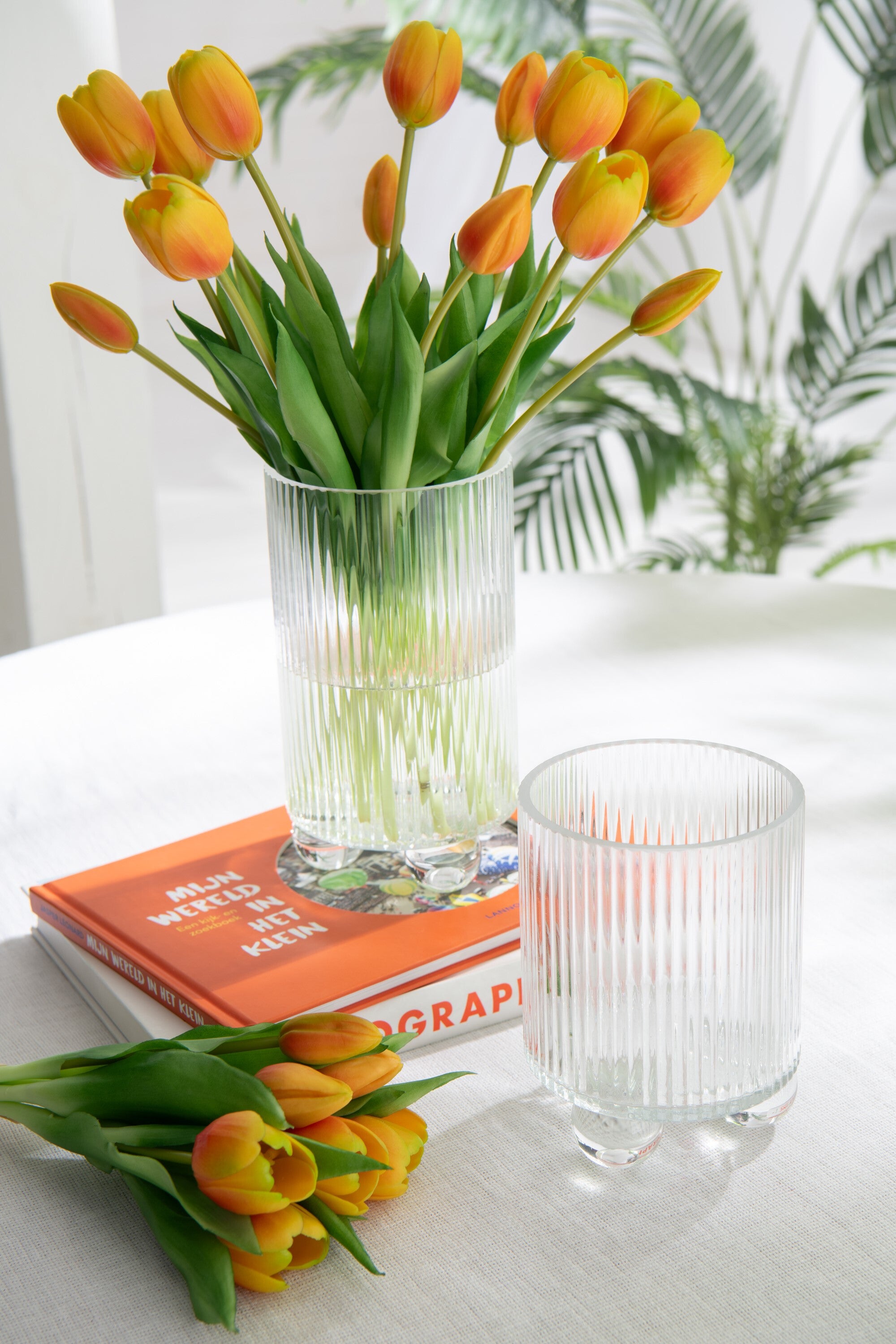 J-Line windlicht Clara - glas - transparant - small