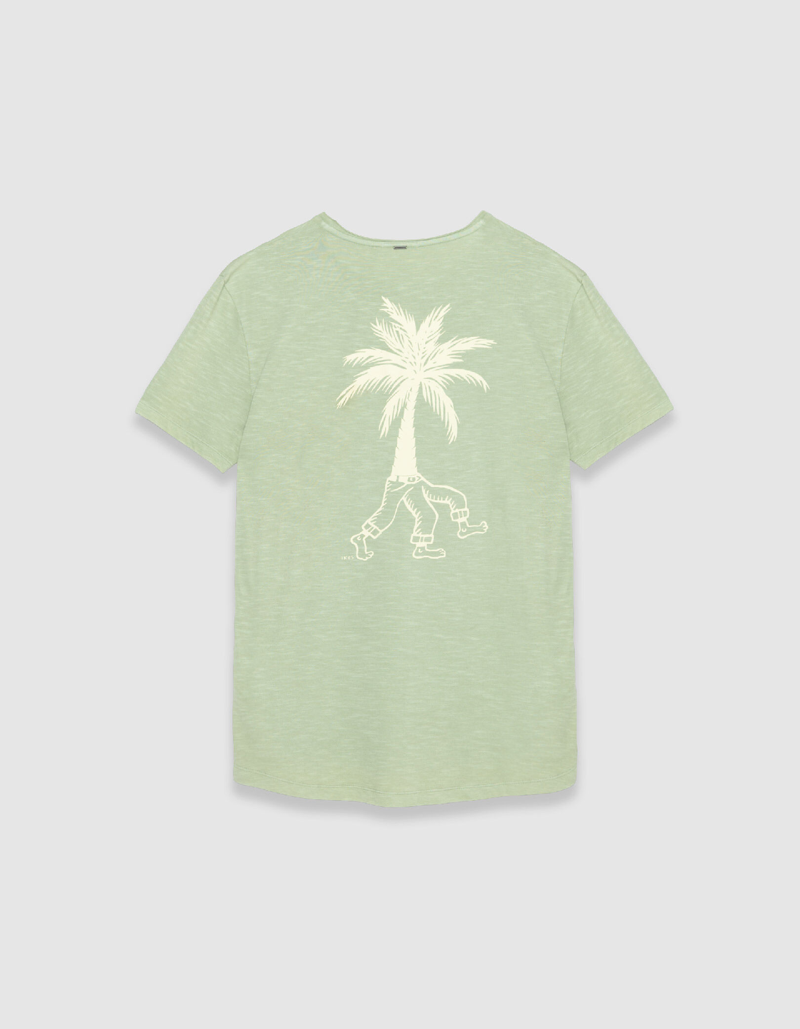 T-shirt col rond vert coton bio visuel palmier Homme