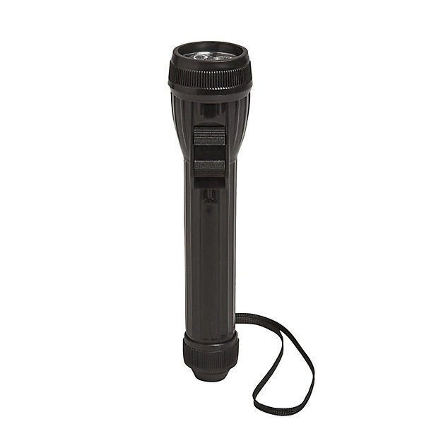 Lampe torche LED 27 lumens Diall noir
