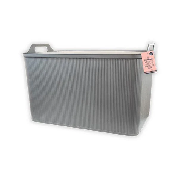 Storesmart Medium Lidded Box W/handle