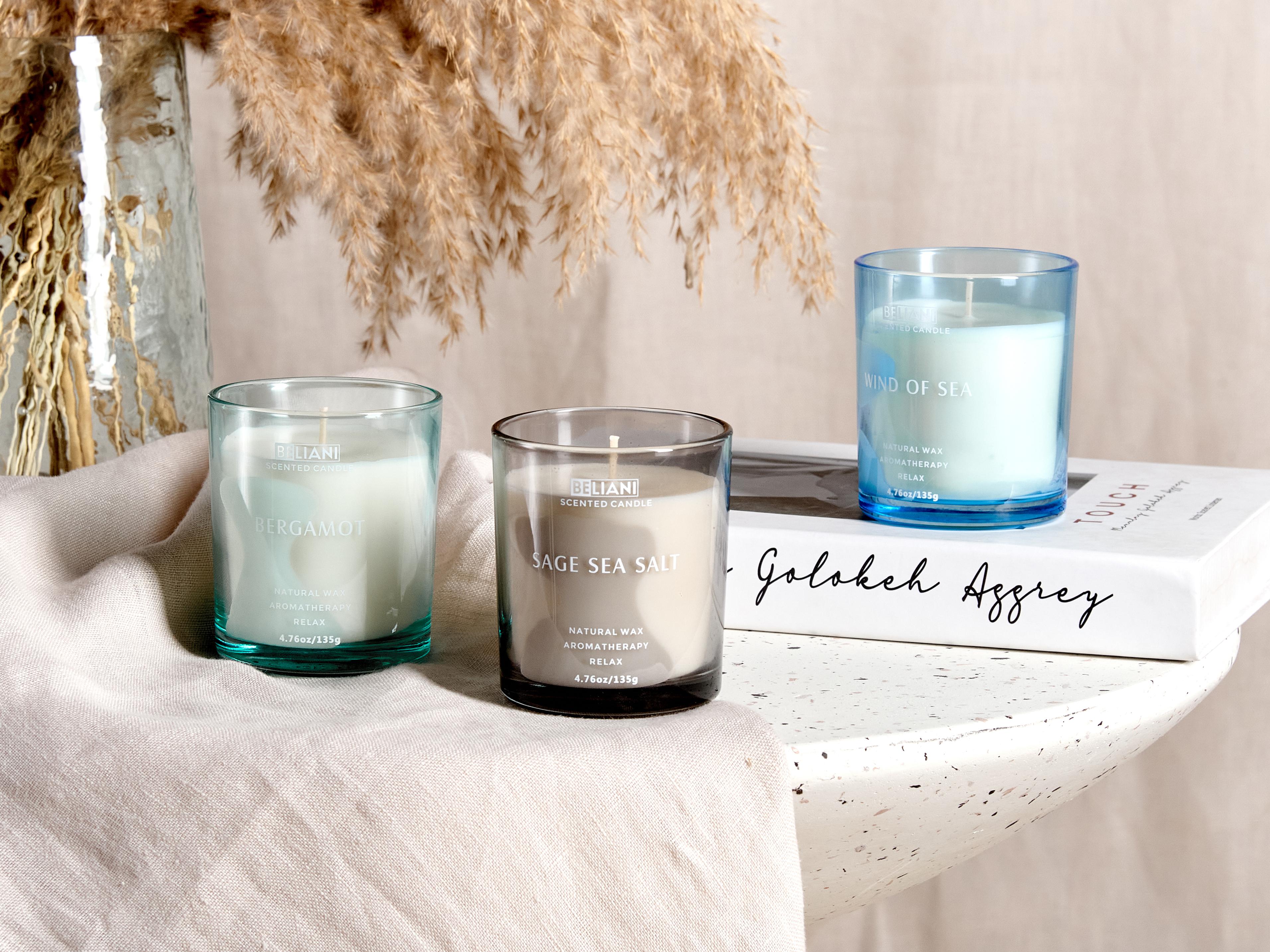 Set of 3 Scented Candles SHEER JOY Soy Wax Fresh Notes