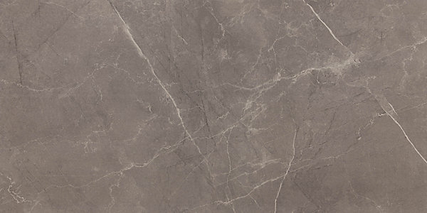 Carrelage sol/mur intérieur effet MARBRE l.60 x L.120 cm ROYAL PULPIS GRIS