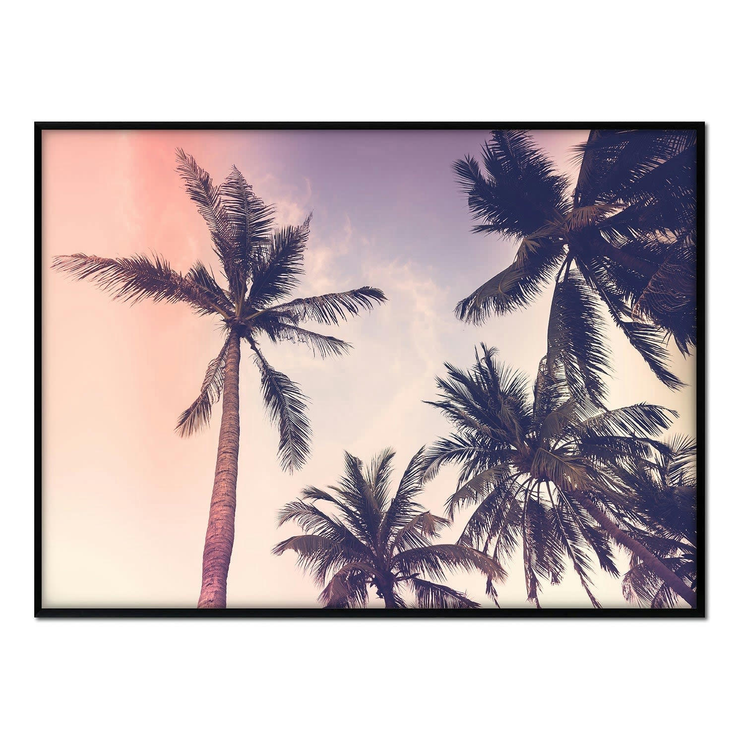 PALMERAS - Affiche avec cadre noir - Dégradé - 50x70