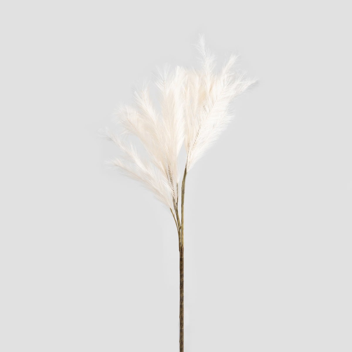 Gałązka sztuczna CANNE ecru 100 cm