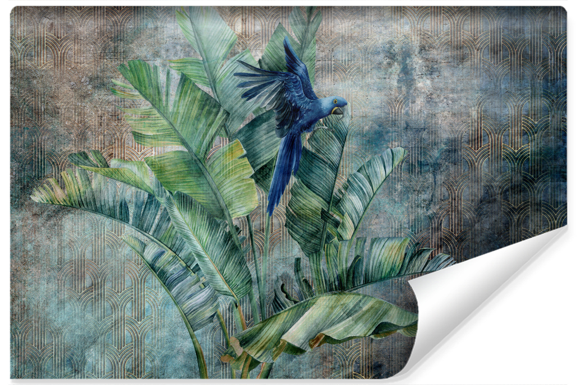 Fototapeta Papuga Na Drzewie Bananowym 90x60cm
