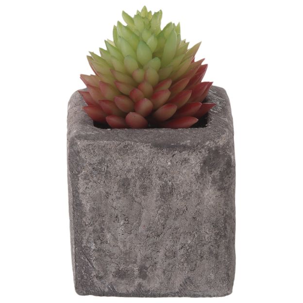 YUKATÁN SUCULENTA AURORA MINI ARRANJO