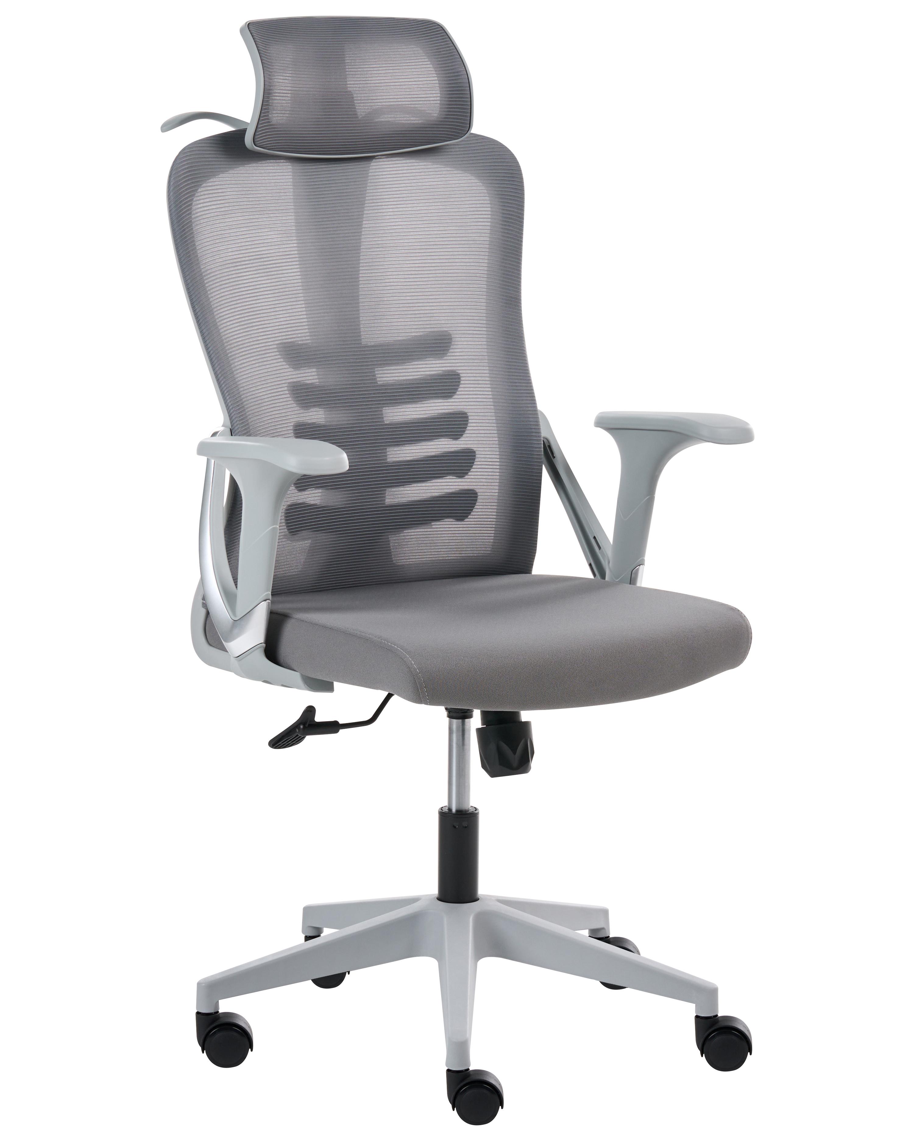 Office Chair ERGONOX Grey