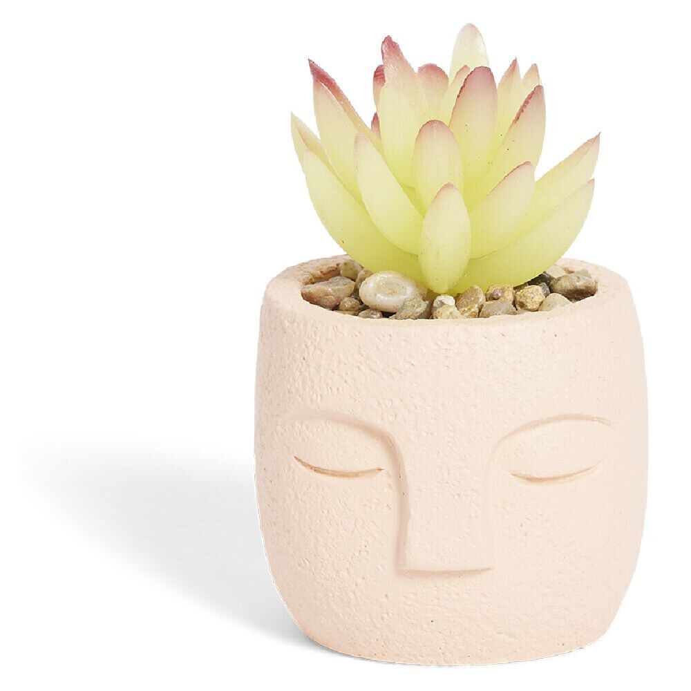 Plante artificielle pot ciment forme visage Ø6,5xH9cm (plusieurs modèles)
