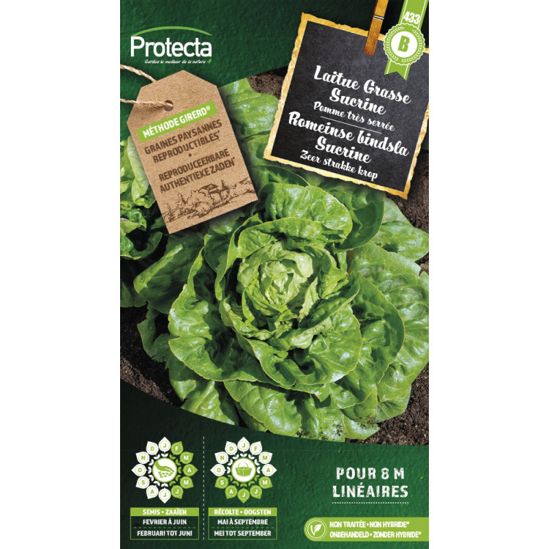 Semences de laitue Grasse Sucrine PROTECTA