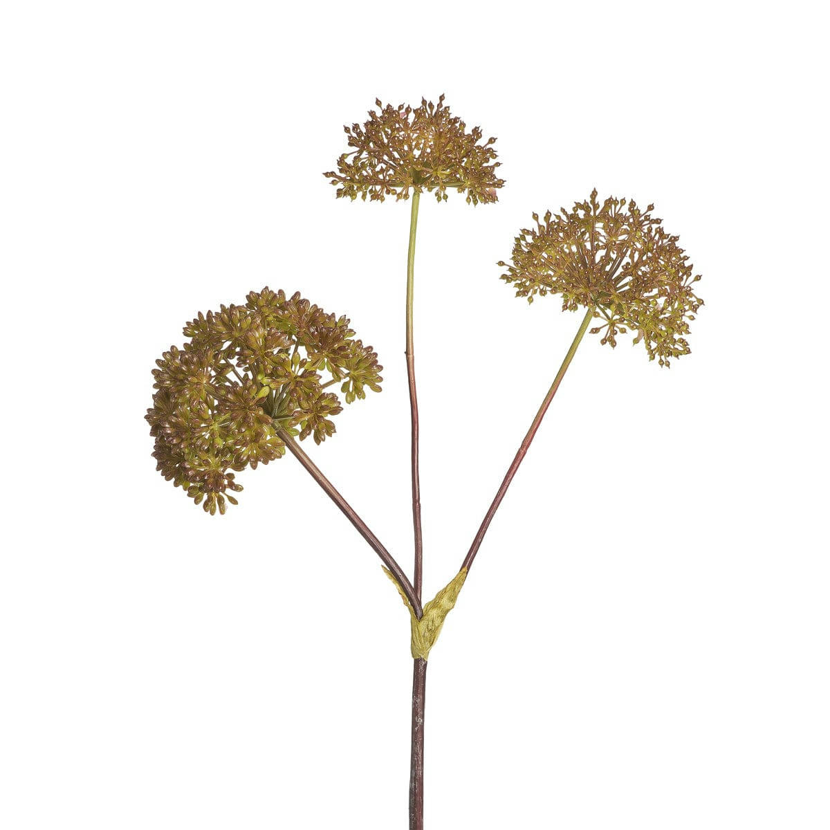 - Graines d'Eucalyptus artificielles vertes H78