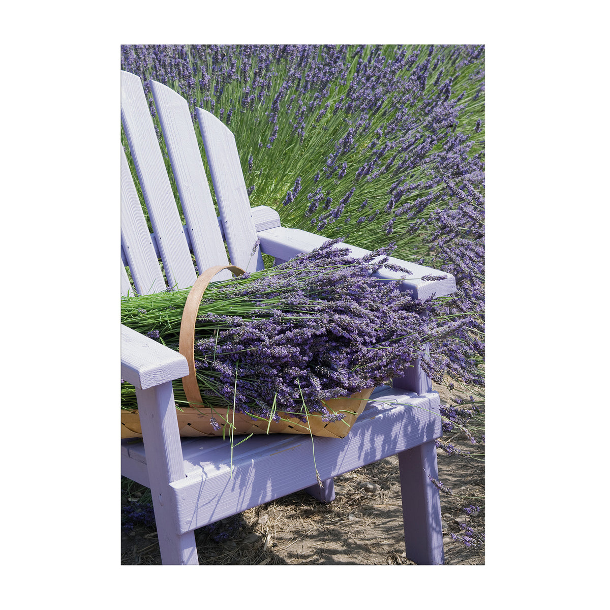 Art for the Home Buitencanvas Lavendel Stoel