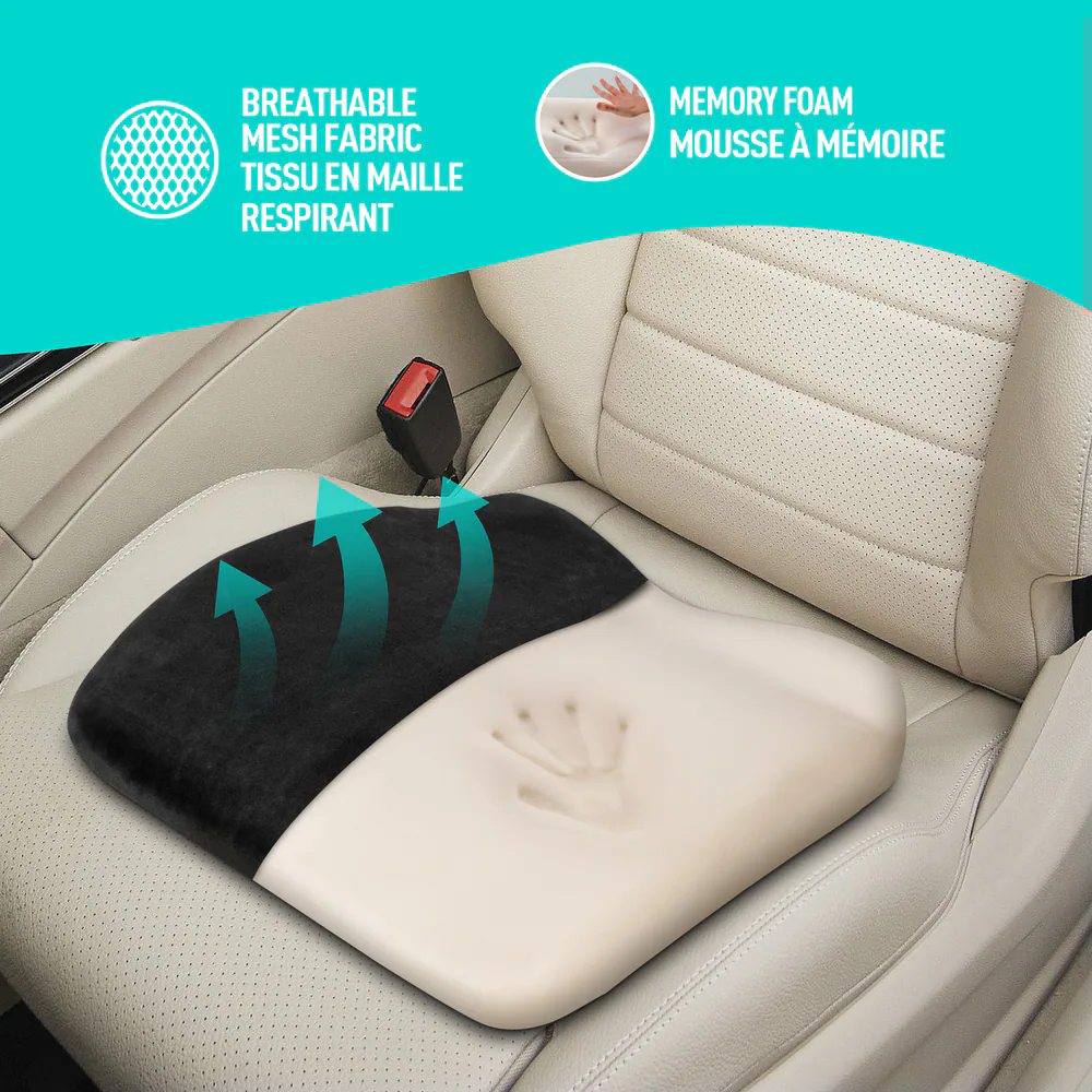 AutoTrends 2-in-1 Memory Foam Lumbar Back & Seat Cushion
