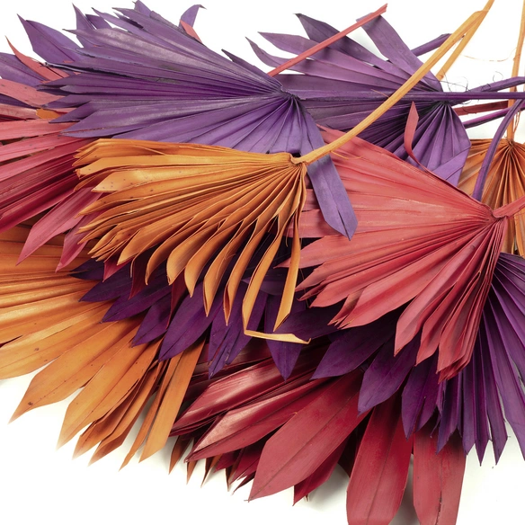 Trockenblumen »Palmsun«