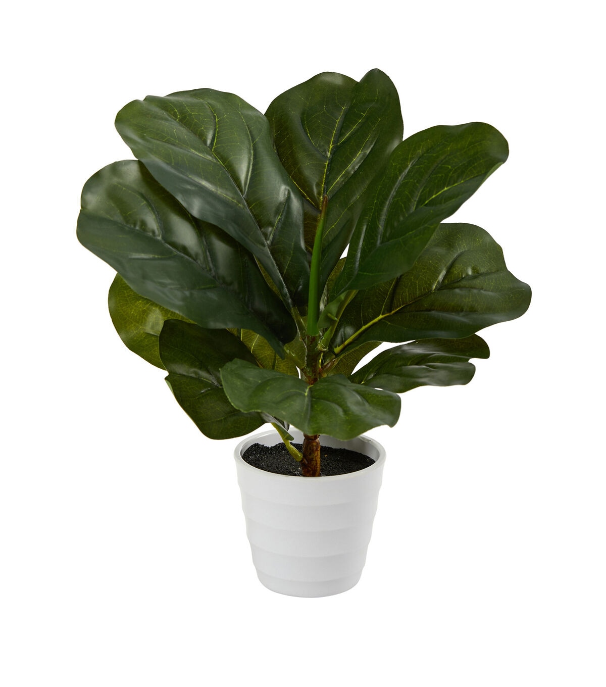Nearly Natural 11 Real Touch Fiddle Leaf Plant in White Planter