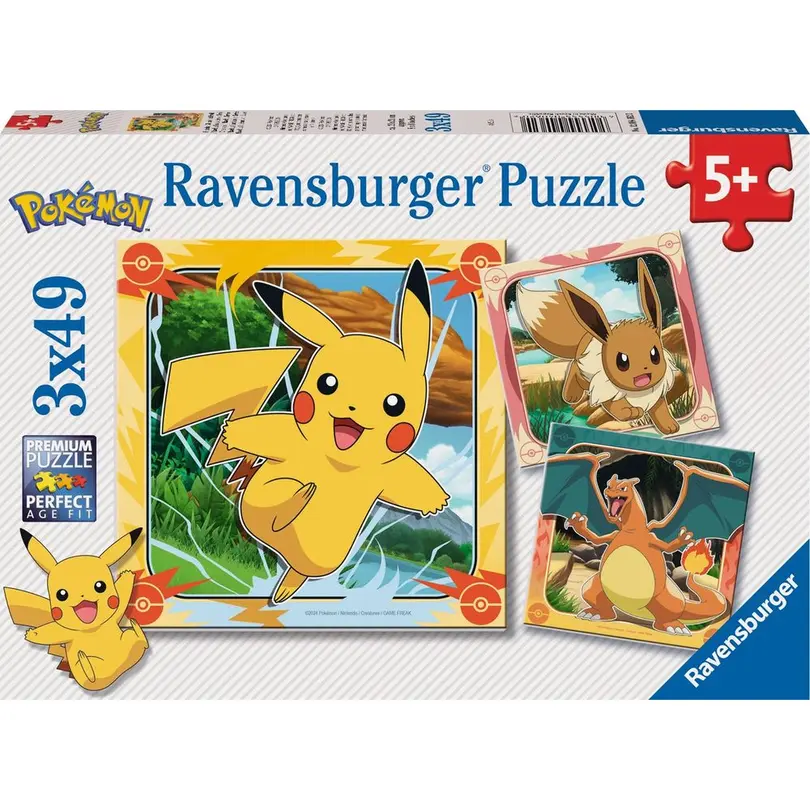 Puzzle Pokémon