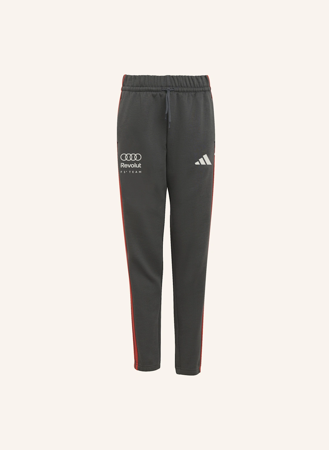 adidas AUDI REVOLUT F1 TEAM DNA HOSE